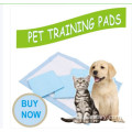 Hot sale puppy training pad